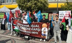 Edirne'de Filistin ve Sincan Uygur Özerk Bölgesi'ne destek için yürüyüş düzenlendi