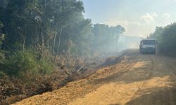 Edirne'de sınır hattında çıkan yangında 90 dekar tarım ve meralık alan zarar gördü