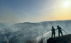 GÜNCELLEME 2 - Ayvacık'ın Behram köyünde çıkan yangın kısmen kontrol altına alındı