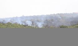 GÜNCELLEME 2 - Balıkesir'de çıkan orman yangını kontrol altına alındı