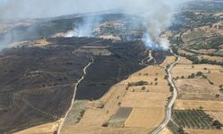 GÜNCELLEME 2 - Balıkesir'de tarım arazisindeki yangın kontrol altına alındı