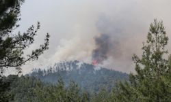 GÜNCELLEME 2 - Bursa'da çıkan orman yangınına müdahale ediliyor