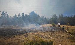 GÜNCELLEME 3 - Bursa-Balıkesir il sınırında ormanlık alanda etkili olan yangının ilerlemesi durduruldu