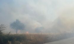 GÜNCELLEME - Balıkesir'de arazide çıkıp ormana sıçrayan yangın kontrol altına alındı