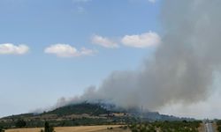 GÜNCELLEME - Balıkesir'de orman yangınına müdahale ediliyor