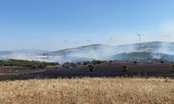 GÜNCELLEME - Balıkesir'de tarım arazisinde çıkan yangın kontrol altına alındı