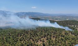 GÜNCELLEME - Balıkesir'deki orman yangını kontrol altına alındı