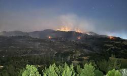 GÜNCELLEME - Bursa-Balıkesir il sınırında ormanlık alanda etkili olan yangının ilerlemesi durduruldu