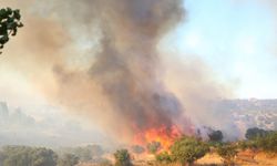 GÜNCELLEME - Çanakkale'de çöplük alandan ormana sıçrayan yangının ilerlemesi durduruldu