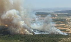 GÜNCELLEME - Çanakkale'de ormanlık alanda çıkan yangına müdahale ediliyor