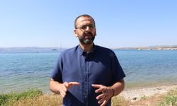 Güneyden gelen istilacı türler Akdeniz'de biyoçeşitlilik kaybına yol açıyor