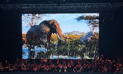 İstanbul Film Orkestrası "The Lion King" filmine eşlik etti