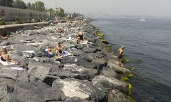 İstanbul'da sıcaktan bunalanlar serinlemek için sahil ve parkları tercih etti