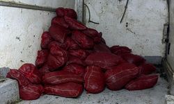 İstanbul'da yaklaşık 2 ton kaçak midye ele geçirildi