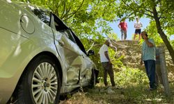 Kocaeli'de meyve bahçesine düşen otomobilin sürücüsü yaralandı