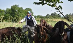 Kuaförlüğü bırakıp keçi yetiştiriciliğine başlayan kadın sürü sahibi oldu