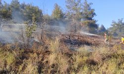 Osmaneli'de ormanlık alanda çıkan yangın söndürüldü