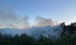 Sakarya'da 5 hektarlık ormanlık alan yandı