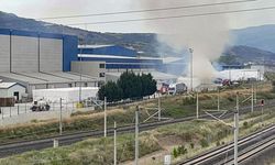 Sakarya'da kağıt fabrikasının bahçesinde çıkan yangın söndürüldü