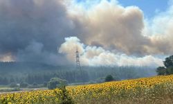 Bursa Nilüfer'deki orman yangını üniversiteye sıçradı