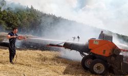 Edirne'de anız yangını ormana sıçradı