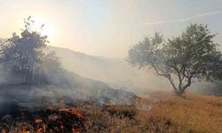 Afyonkarahisar’ın Hıdırlı Tepesi mevkiindeki ormanlık alanda yangın çıktı. İtfaiye ekiplerinri yangına yoğun müdahalesi sürüyor.
