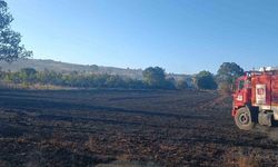 Bilecik’te çıkan yangında 130 dönüm buğday ekili alan zarar gördü
