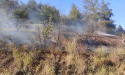 Bilecik’te ormanlık alanda çıkan yangın ekiplerin müdahalesiyle büyümeden söndürüldü