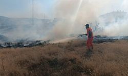 Bingöl’deki yangın ormanlık alana sıçramadan söndürüldü