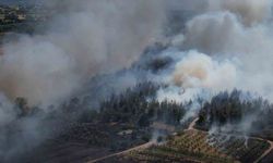 Bursa’daki yangın ormana sıçradı