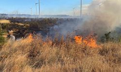 Çanakkale’de tarım arazisinde çıkan yangın ormanlık alana sıçradı