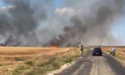 Edirne’de tarla yangını: 50 dönüm buğday küle döndü