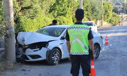 Elazığ’da otomobil beton direğe çarptı: 2 yaralı