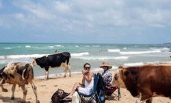 Halk plajları doldu, ’beach’lerde şezlonglar boş kaldı