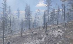 Karaman’da çıkan orman yangınına havadan ve karadan müdahale ediliyor