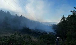 Kastamonu’da orman yangını: 2 hektarlık alan zarar gördü