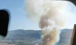 Manisa’da ormanlık alandaki 2 yangın da kontrol altına alındı