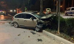 Otomobil park halindeki araçlara ve refüjdeki ağaca çarptı: 2 yaralı