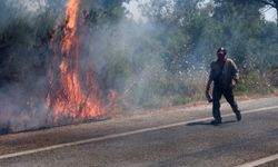 Selçuk’ta bir yangın daha: İlk müdahale vatandaşlardan