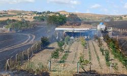 Silivri’de otluk alanda yangın: Alevler yerleşim alanına doğru ilerledi, panik yaşandı