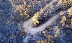 Başkan Tever, Orman Yangınlarına İlişkin Açıklamalarda Bulundu
