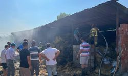 Balıkesir'de ahır yangınında maddi hasar oluştu