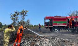 Bilecik’te arazi yangınında 30 dekar alan yandı
