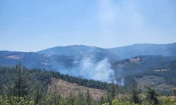 Bursa'da ormanlık alanda yangın çıktı