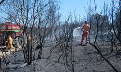 Çanakkale'de tarım arazisinde başlayıp ormana sıçrayan yangını söndürme çalışmaları sürüyor