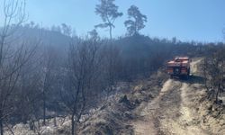 Çanakkale'nin Ayvacık ilçesinde çıkan orman yangını kontrol altına alındı