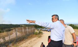 Edirne Valisi Sezer, Bulgaristan'daki yangınla ilgili sınır hattında incelemede bulundu