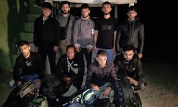 Edirne ve Kırklareli'nde 17 düzensiz göçmen yakalandı