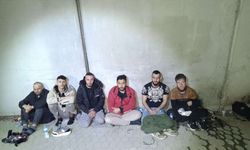 Edirne ve Kırklareli'nde 8 düzensiz göçmen yakalandı