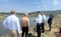 Edirne'de çeltik arazilerine deniz suyunun karışmasını engellemek için Meriç Nehri'ne set çekildi